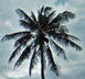 Dili