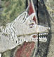 She-wolf