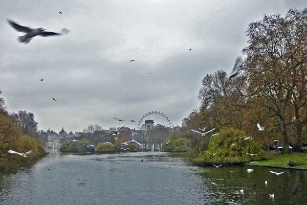 st james park