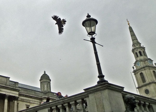 trafalgar