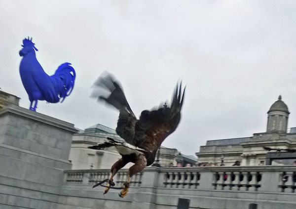 blue jay way
