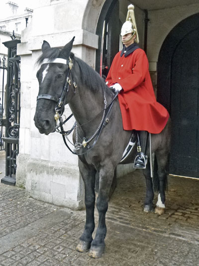 mounted guard