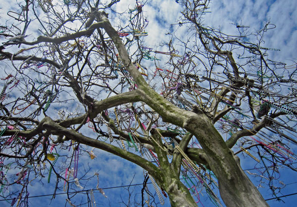 mardi gras bead tree