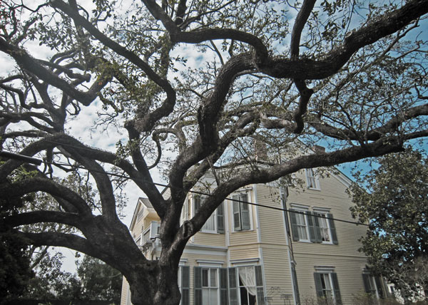 oak house
