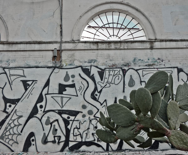 cactus graffiti