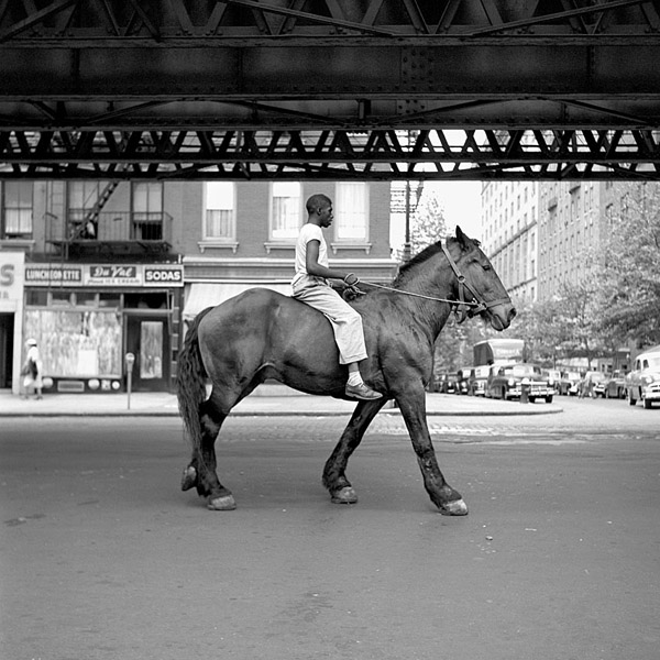 vivian maier black horse