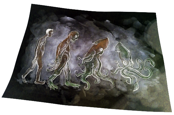 squid evolution