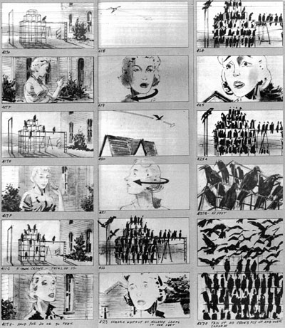 storyboarding the birds