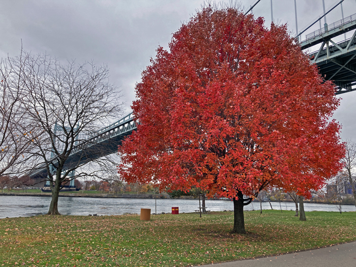 Triboro (a.k.a. RFK) bridge