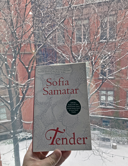 Tender by Sofia Samatar