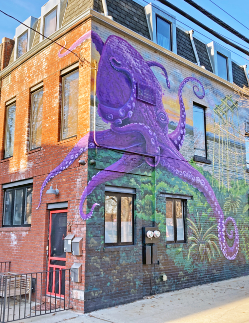 purple octopus, red hook
